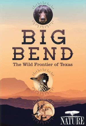 Big Bend: The Wild Frontier of Texas's poster