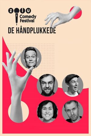 Zulu Comedy Festival: De håndplukkede's poster