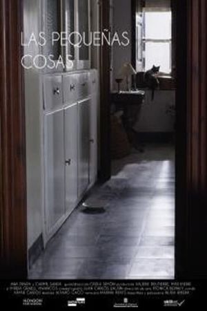 Las pequeñas cosas's poster