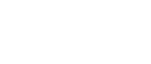 Kung Fu Panda 4's poster