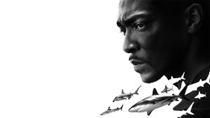 Shark Beach with Anthony Mackie's poster