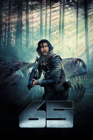 65's poster