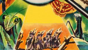 Nature's Half Acre's poster