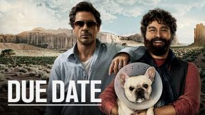 Due Date's poster