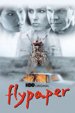 Flypaper's poster