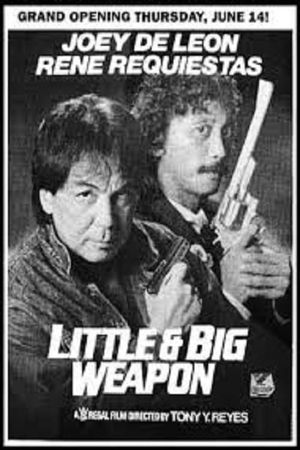 Little & Big Weapon's poster