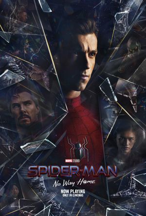 Spider-Man: No Way Home's poster