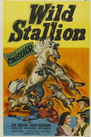 Wild Stallion's poster