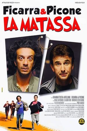 La matassa's poster
