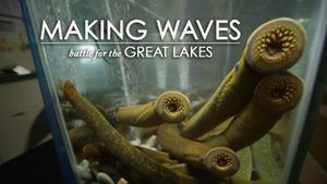 Making Waves's poster