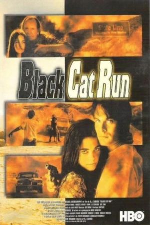 Black Cat Run's poster