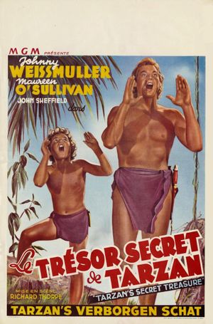 Tarzan's Secret Treasure's poster