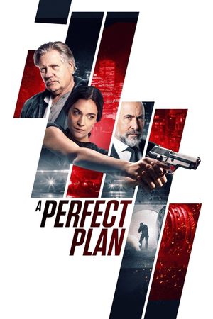 A Perfect Plan's poster