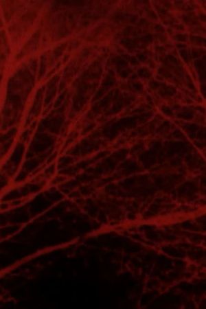 Bad Blood's poster