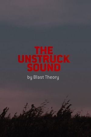 The Unstruck Sound's poster