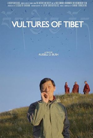 Vultures of Tibet's poster