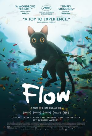 Flow's poster