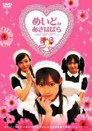 Maid In Akihabara's poster