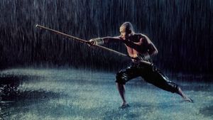 The 36th Chamber of Shaolin's poster