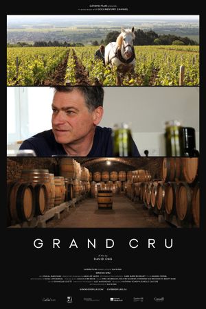 Grand Cru's poster