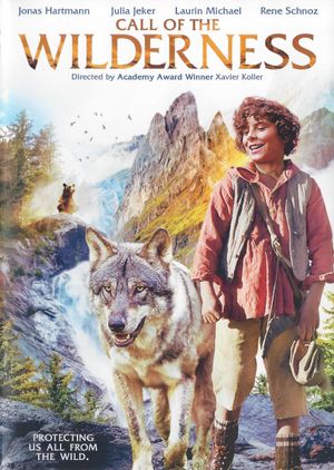 Little Mountain Boy's poster