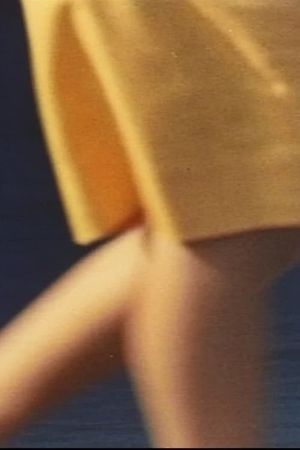 Fibers from the Sun's poster