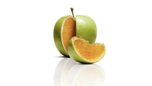 Freakonomics's poster