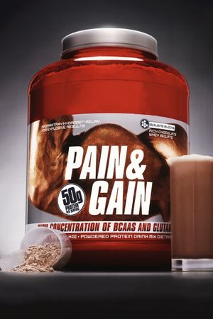 Pain & Gain's poster