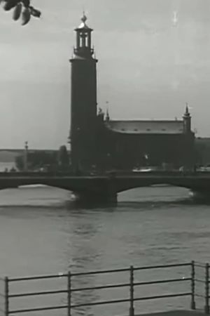 Venice of the North's poster