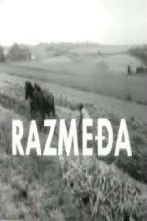 Razmedja's poster