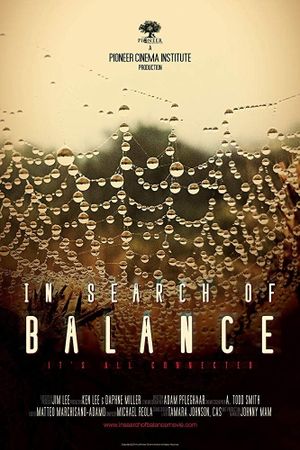 In Search of Balance's poster