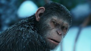 War for the Planet of the Apes's poster