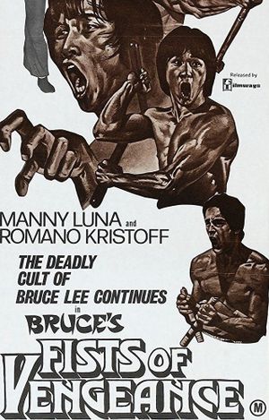 Bruce's Fists of Vengeance's poster