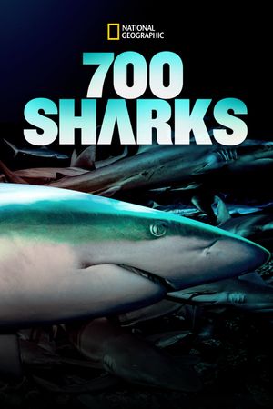 700 Sharks's poster