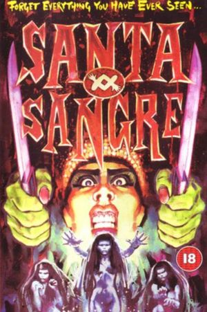 Santa Sangre's poster