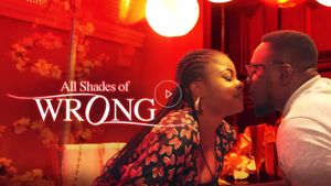 All Shades Of Wrong's poster