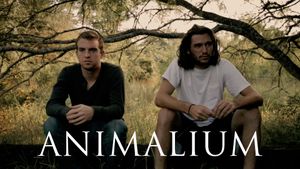 Animalium's poster