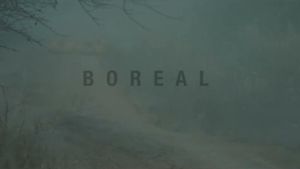 Boreal's poster