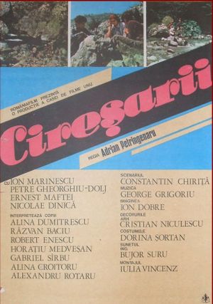 Ciresarii's poster