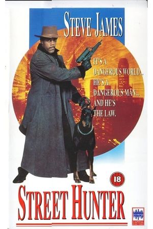 Street Hunter's poster
