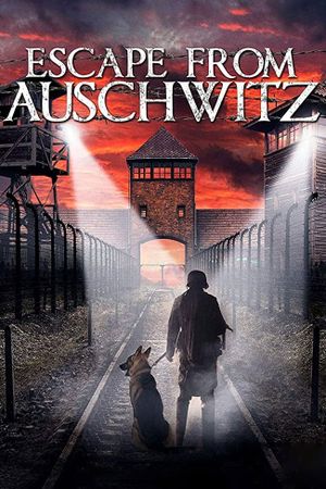 The Escape from Auschwitz's poster image