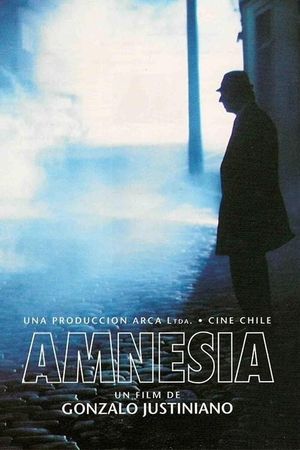 Amnesia's poster