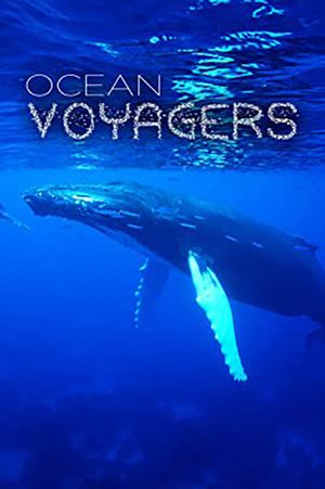 Ocean Voyagers's poster
