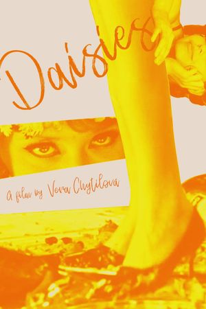 Daisies's poster