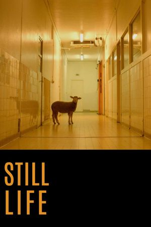Still Life's poster