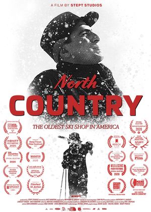 North Country's poster