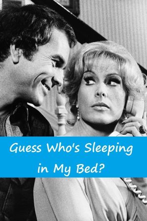 Guess Who's Sleeping in My Bed?'s poster