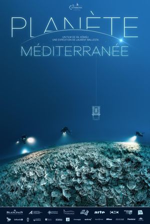 The Deep Med's poster