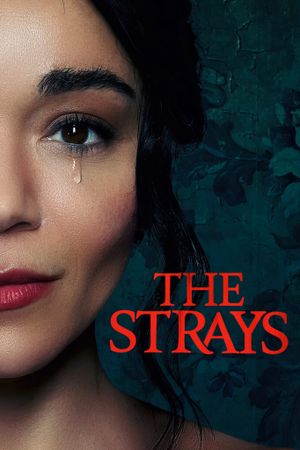 The Strays's poster