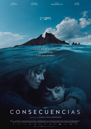 The Consequences's poster